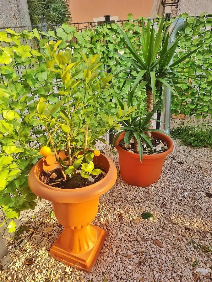 Holiday home Holiday Place Veli Dvor - Vacation House With Private Garden In Old Town Punat