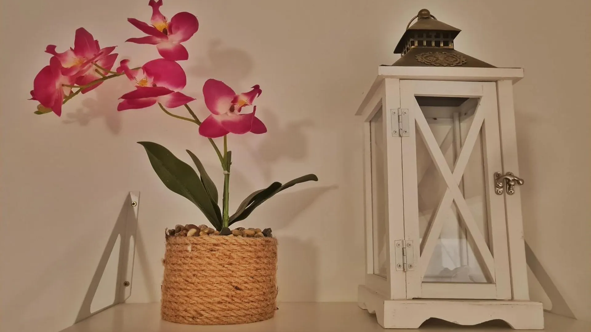 Holiday Place Veli Dvor - Vacation House With Private Garden In Old Town Punat Holiday home